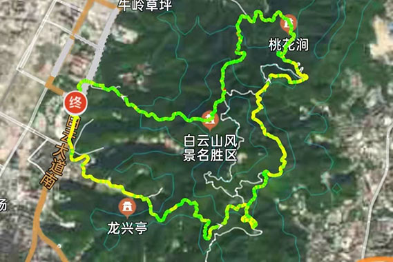【巡山拉练】10.1白云山画鸡