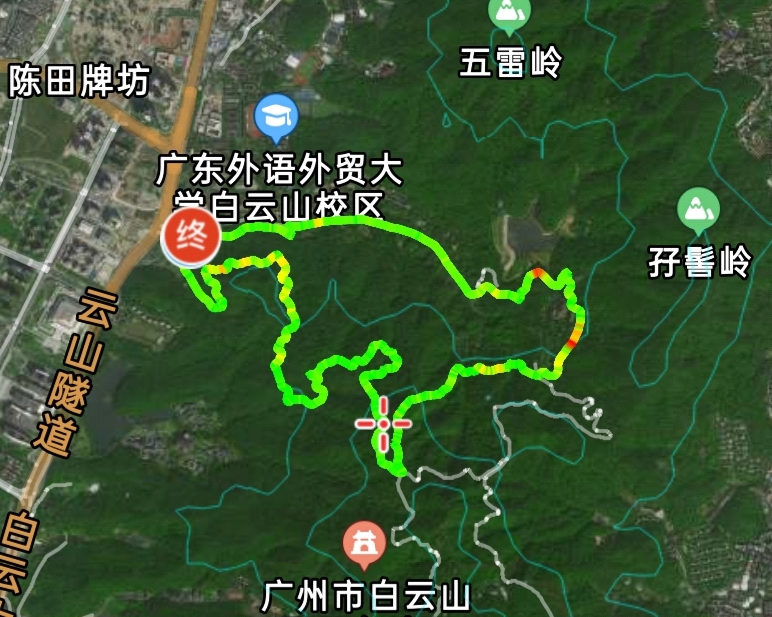 【巡山拉练】11.29白云山画猫